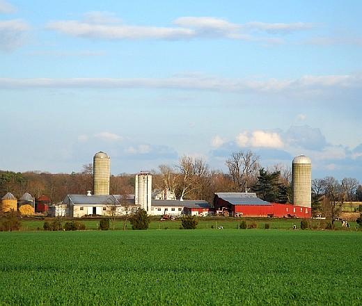 nj farm