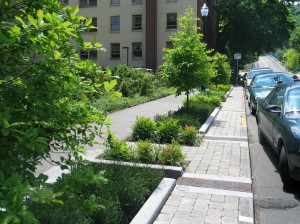 Green street planters, an example of green-infrastructure techniques. Source: EPA