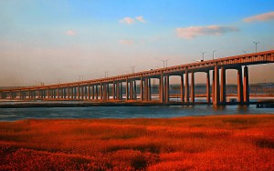 The New Jersey Turnpike as it passes over the Meadowlands. Photo source: flickr user illinigardner
