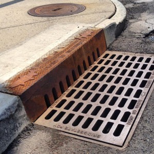 Urban water grate