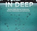 In Deep: Helping Sandy-Affected Communities Address Vulnerability and Confront Risk