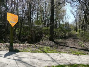 In some places the canal has completely disappeared. Photo: Jay Watson
