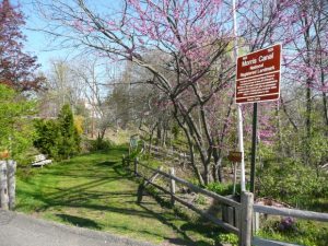 Morris Canal Greenway. Photo: Jay Watson