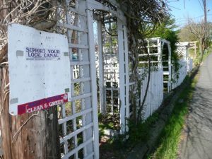 Support your local canal. Photo: Jay Watson