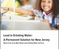 Lead in Drinking Water: A Permanent Solution for New Jersey