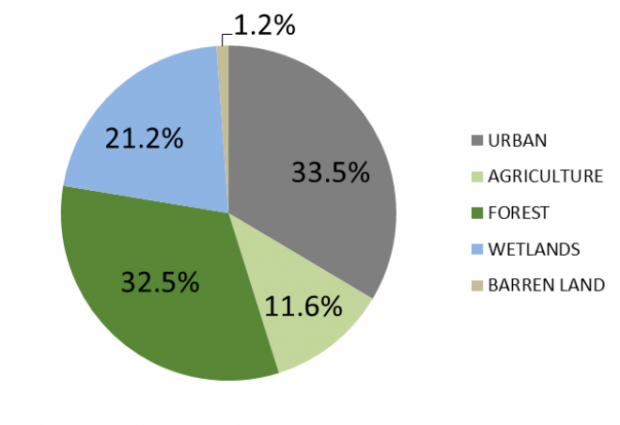 Land use land cover percentage chart