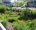 Mainstreaming Green Infrastructure